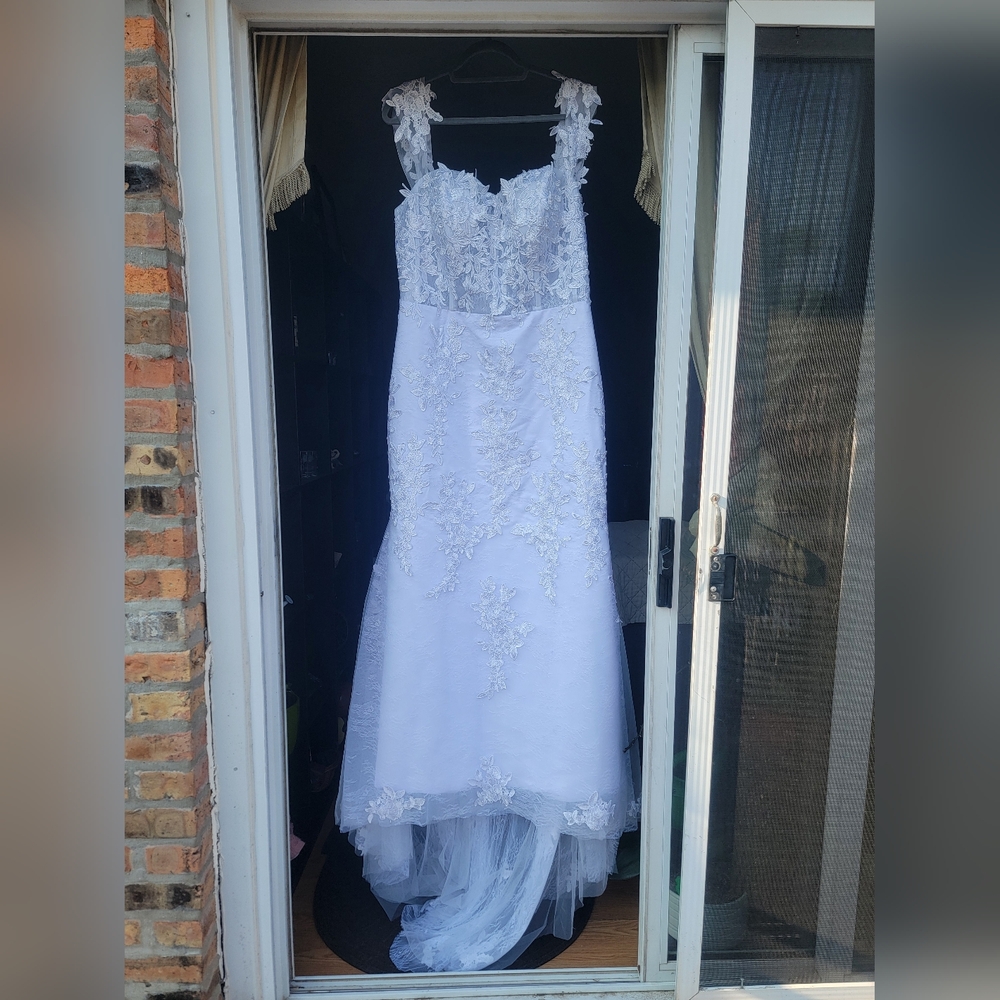 Wedding Dress & Veil